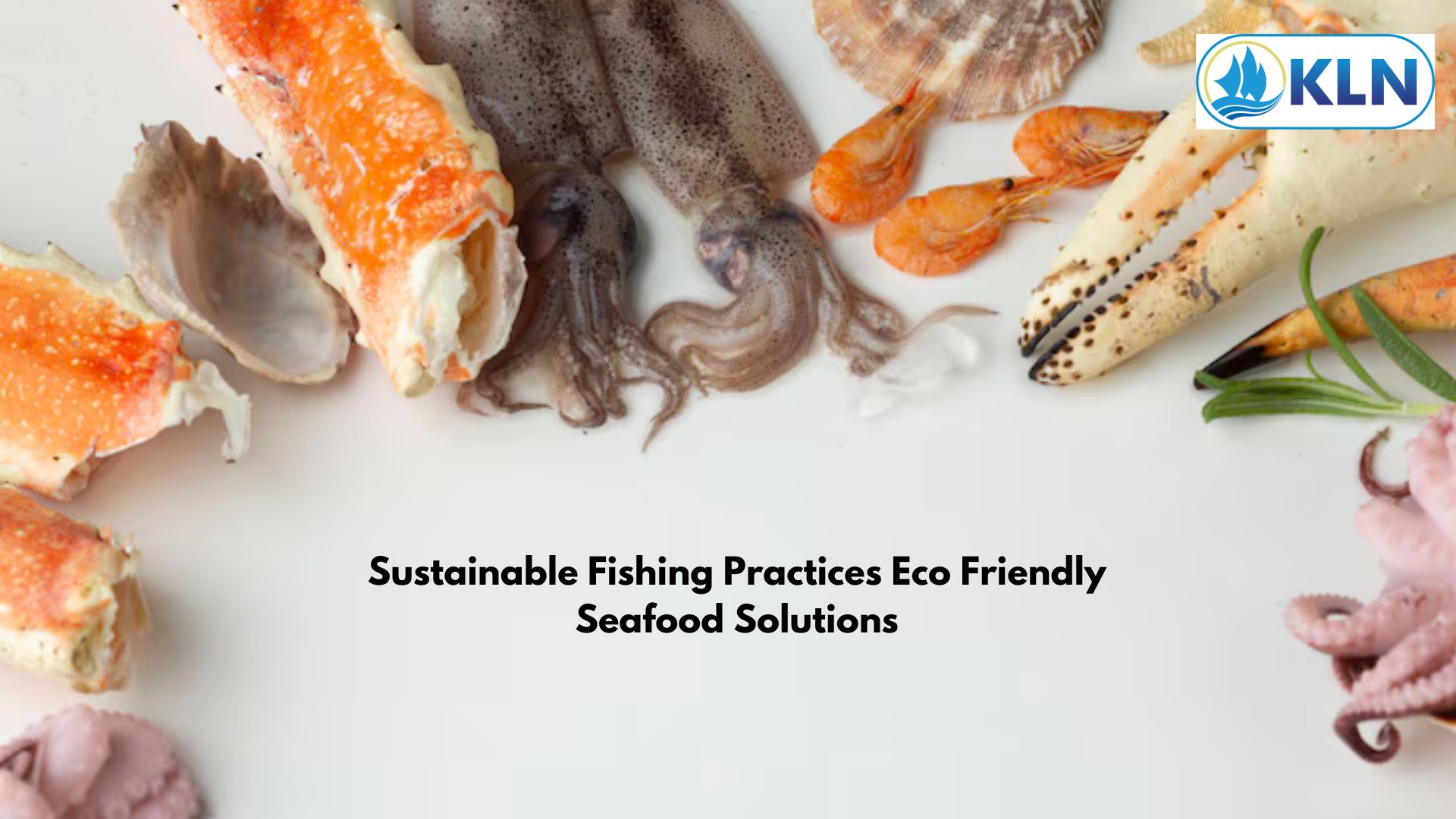 Sustainable Fishing Practices Eco Friendly Seafood Solutions